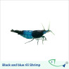 FW SHRIMP Value Pack 02