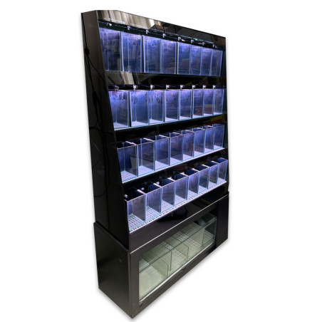BETTA DISPLAY RACK