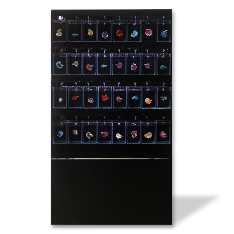 BETTA DISPLAY RACK